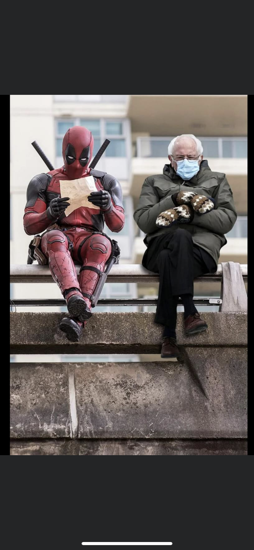 accession-202601-IMG_6876