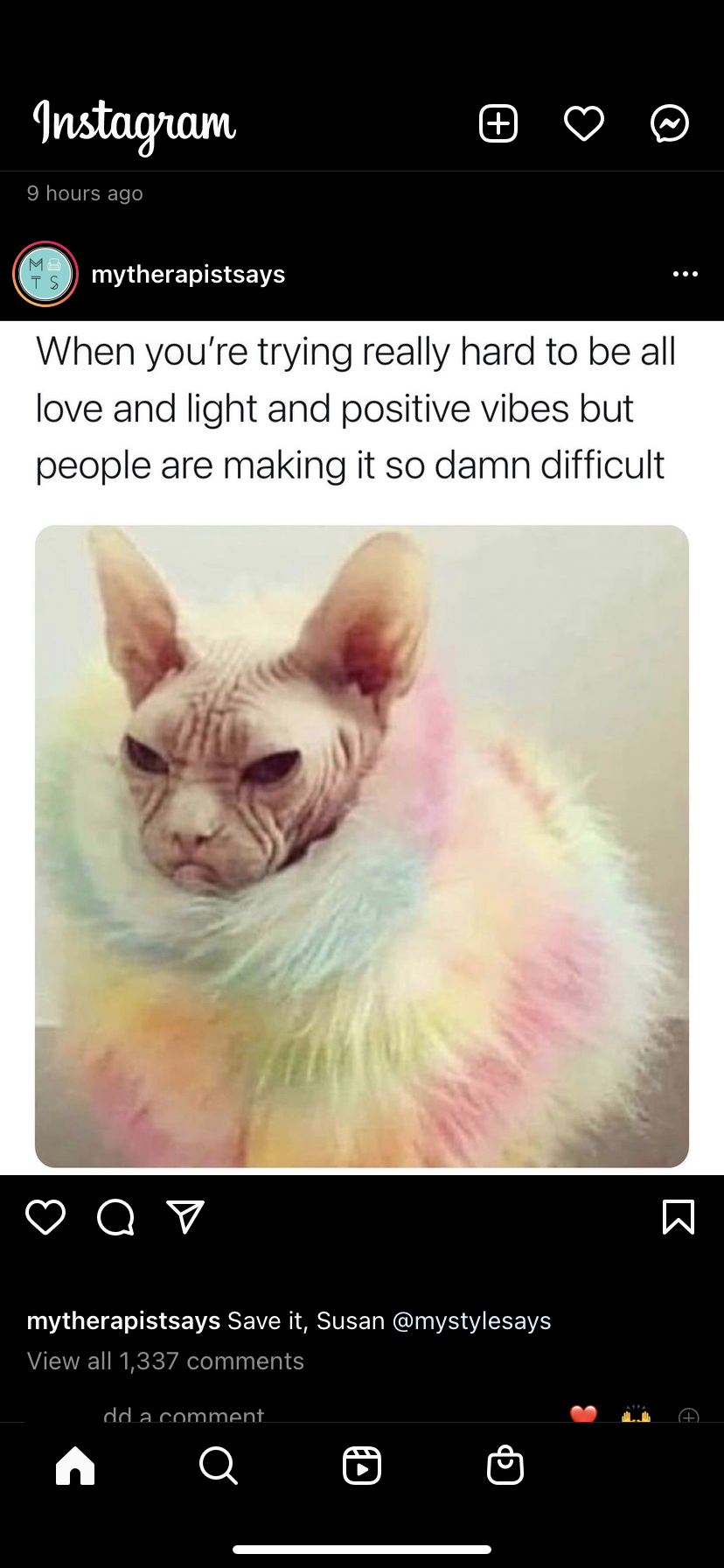 accession-202601-IMG_8336