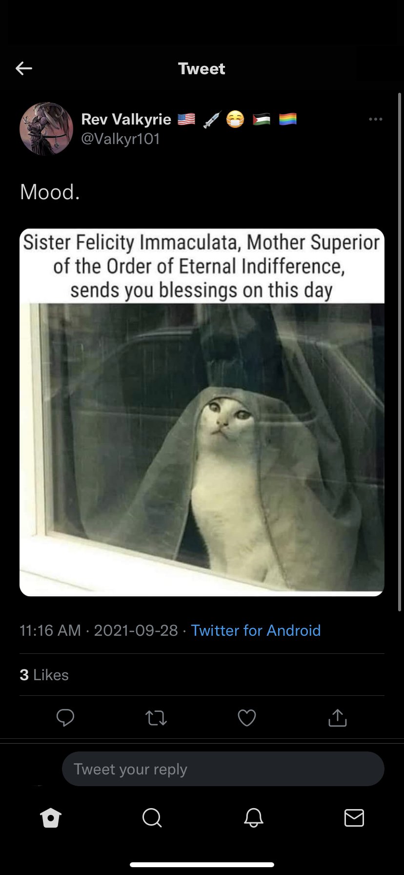 accession-202601-IMG_8974