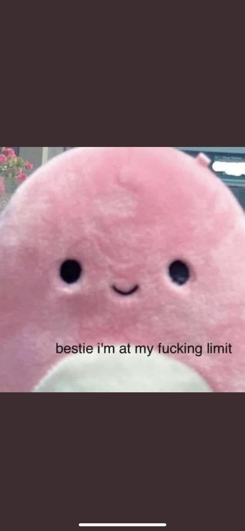 accession-202601-IMG_9661