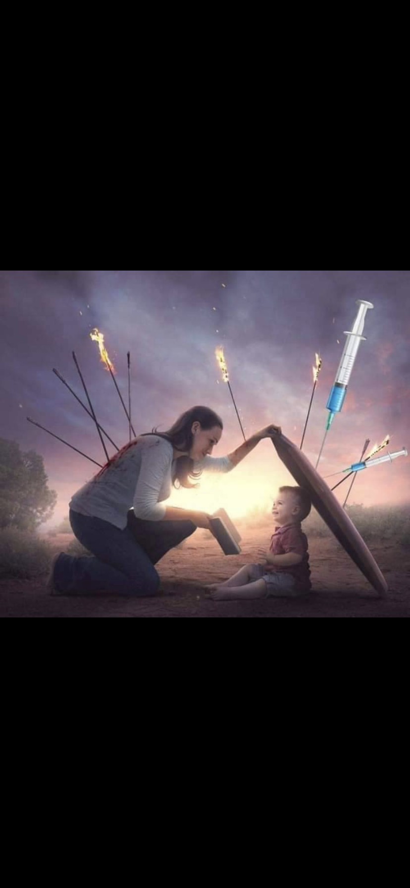 accession-202601-IMG_9663