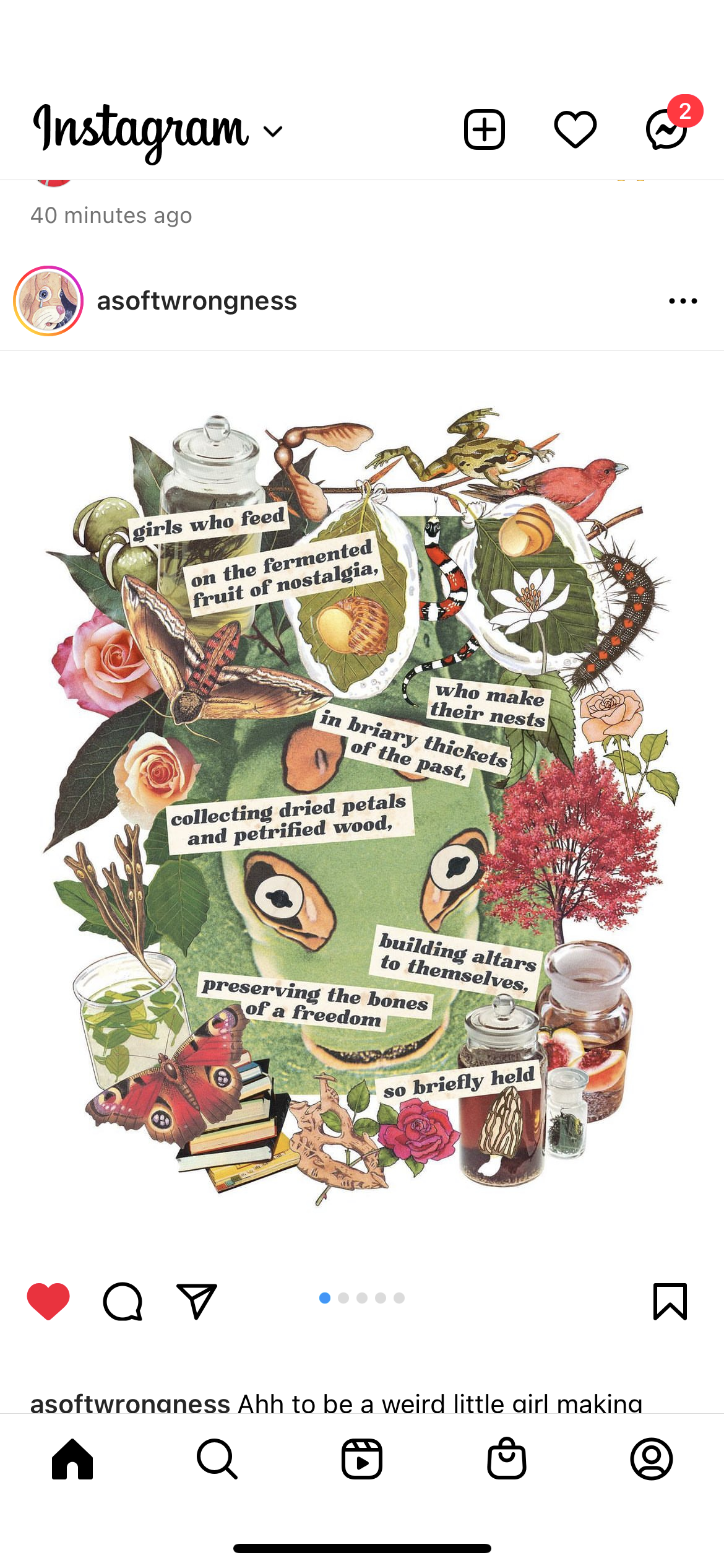 accession-202601-2022-IMG_4850