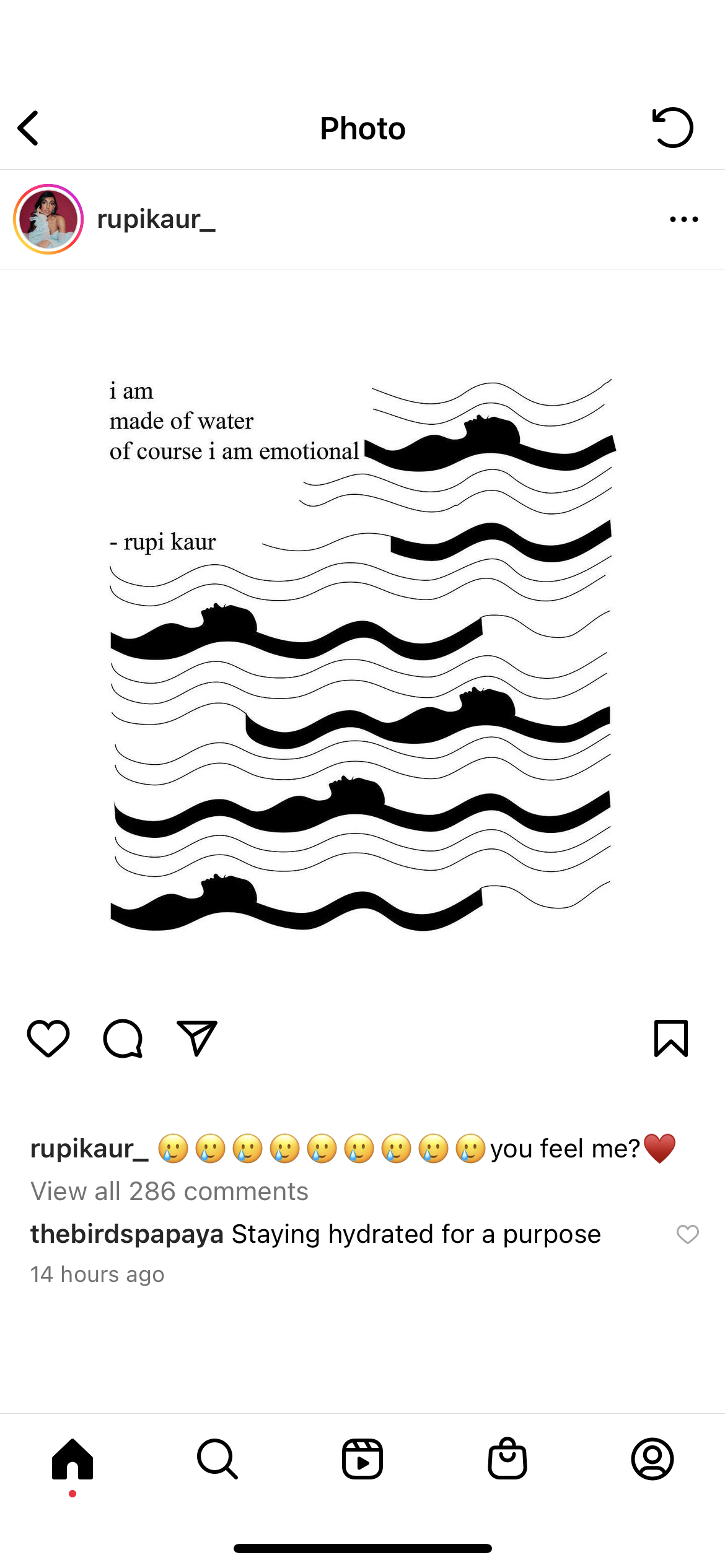 accession-202601-2023-IMG_5083