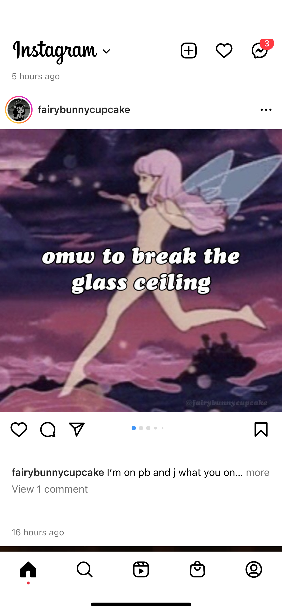 accession-202601-2023-IMG_5301