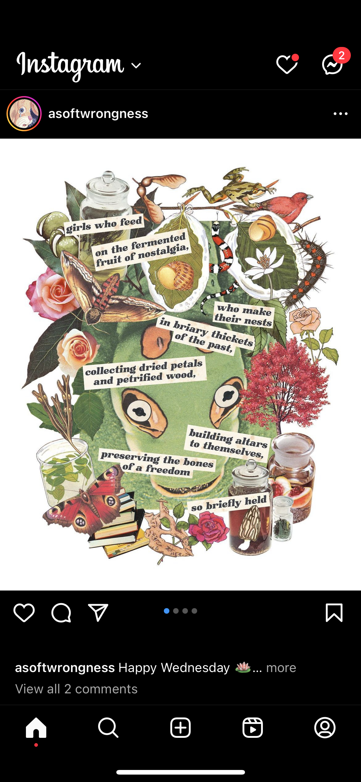 accession-202601-2023-IMG_5412