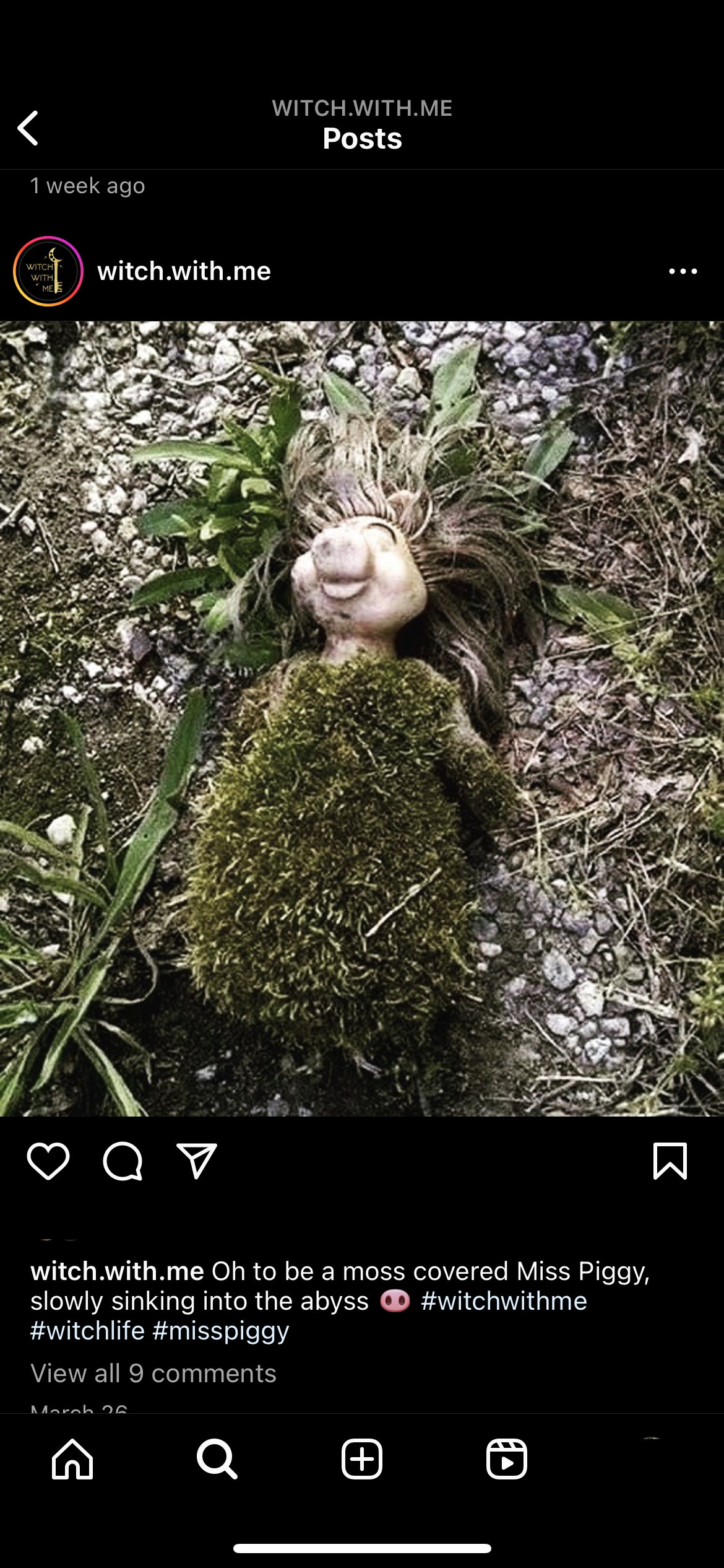 accession-202601-2023-IMG_5877