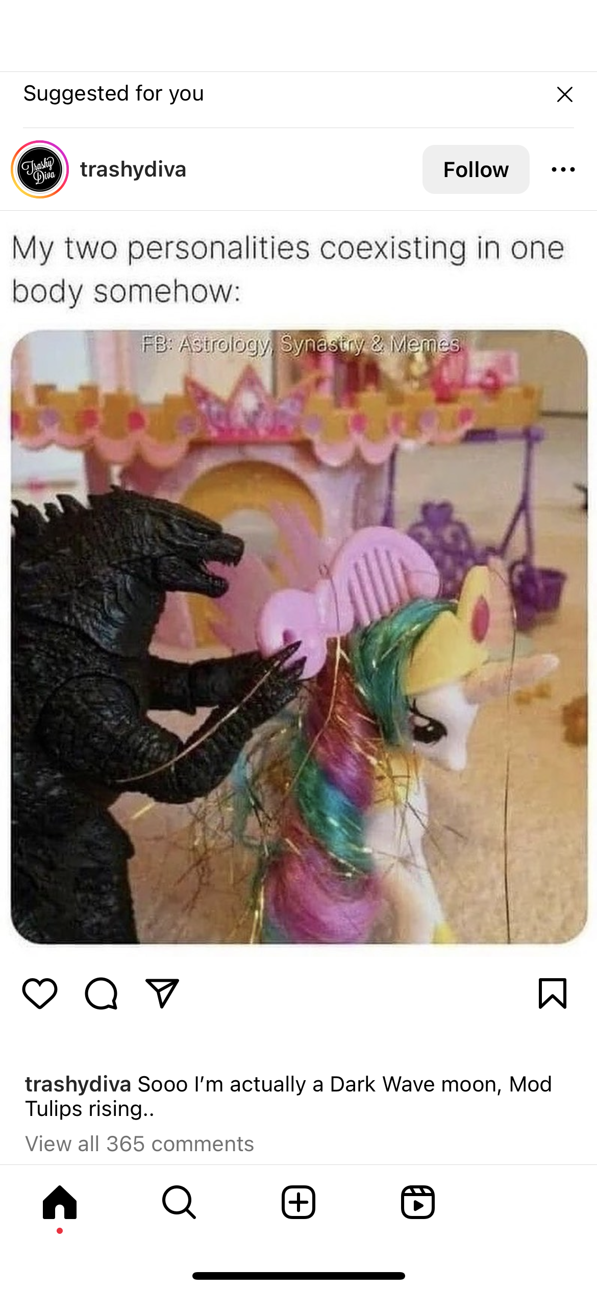 accession-202601-2023-IMG_6133