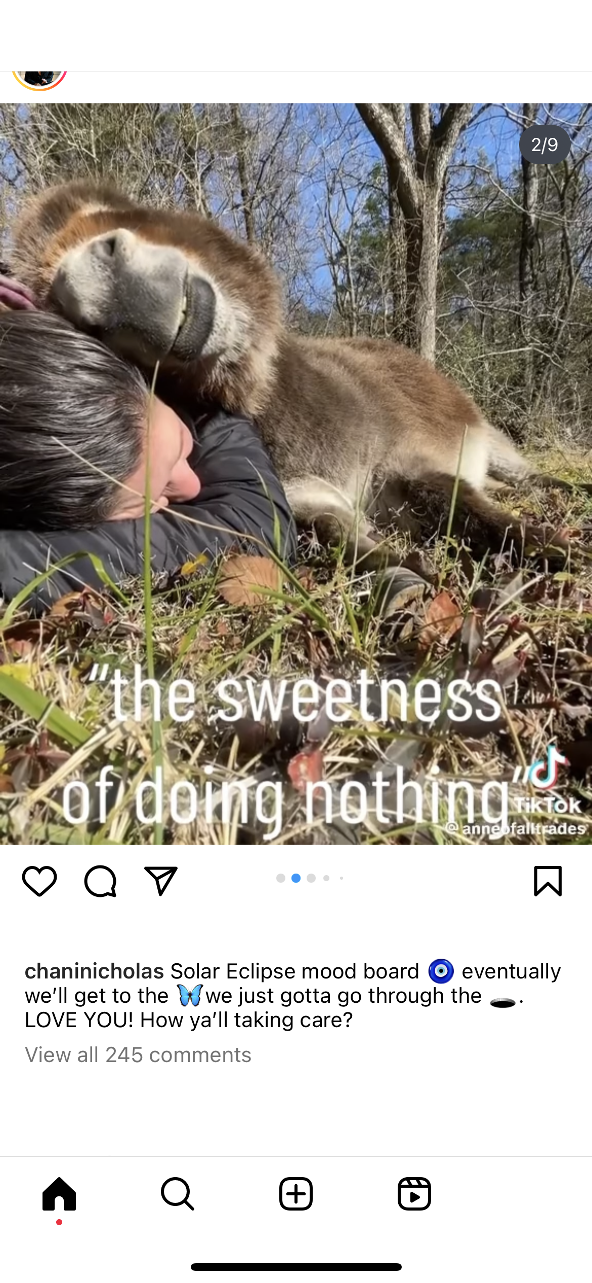 accession-202601-2023-IMG_6152