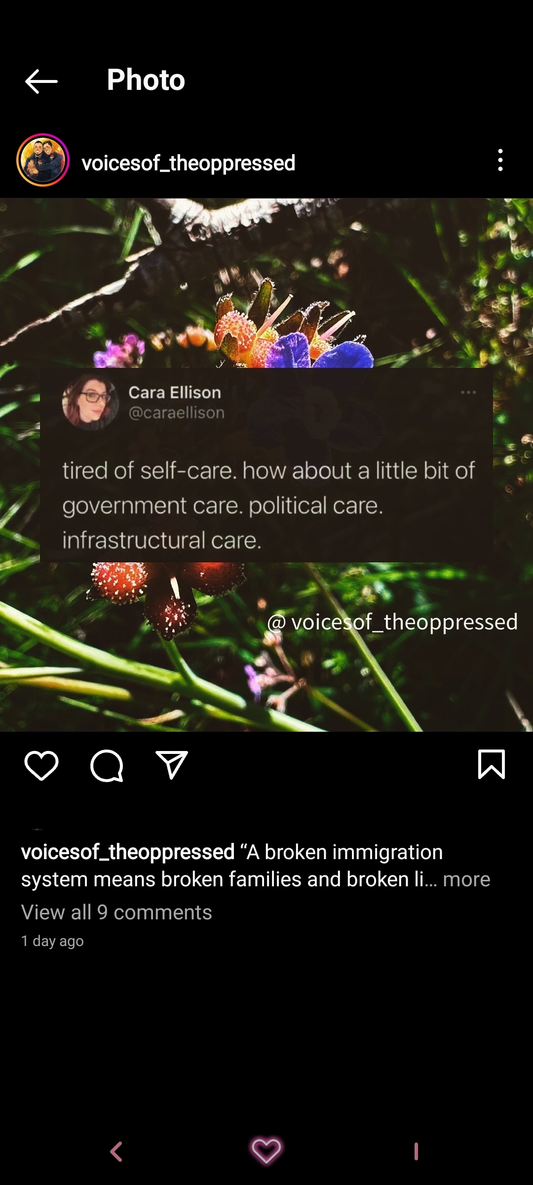 accession-202601-2023-Screenshot_20230407_222346_Instagram