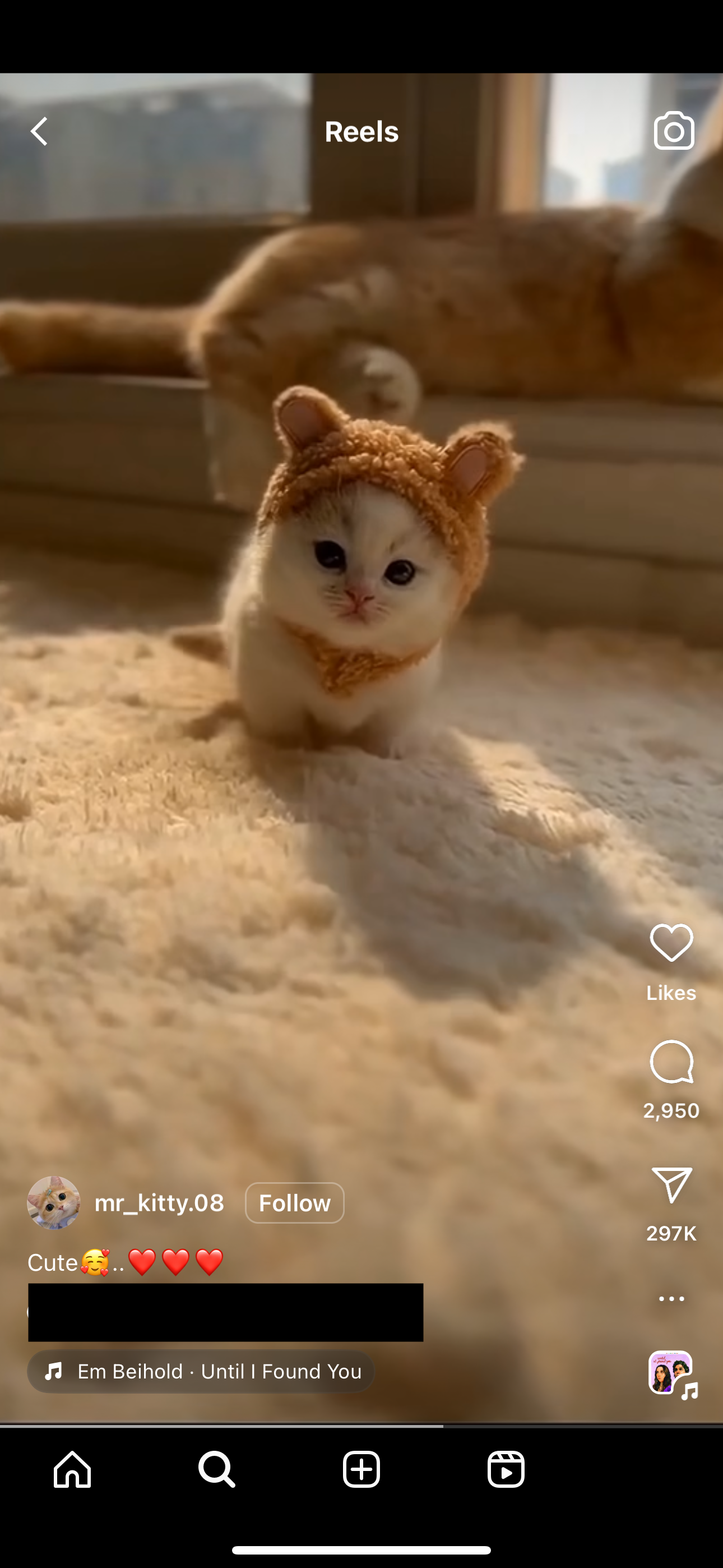 accession-202601-2024-03-IMG_1353