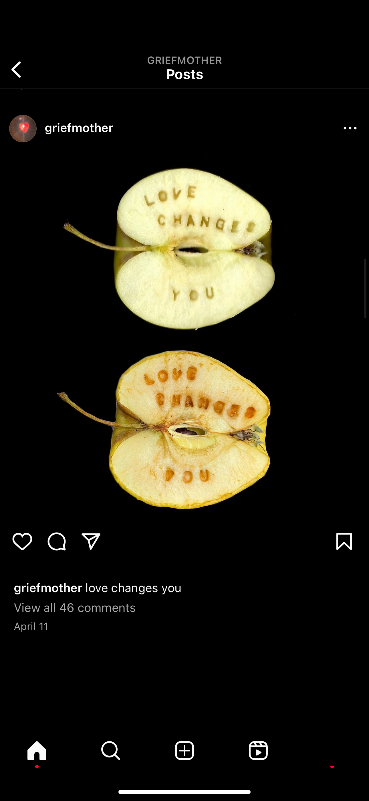 accession-202601-2024-06-IMG_2830