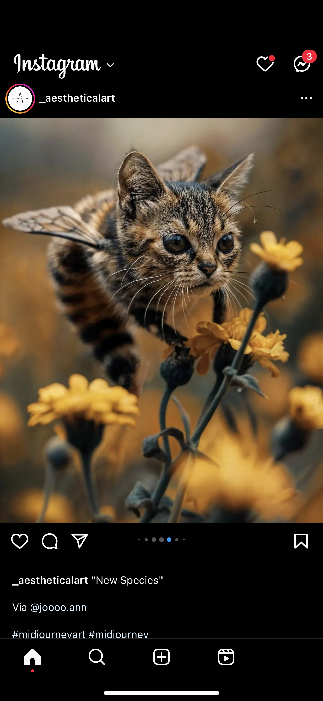 accession-202601-2024-06-IMG_2867