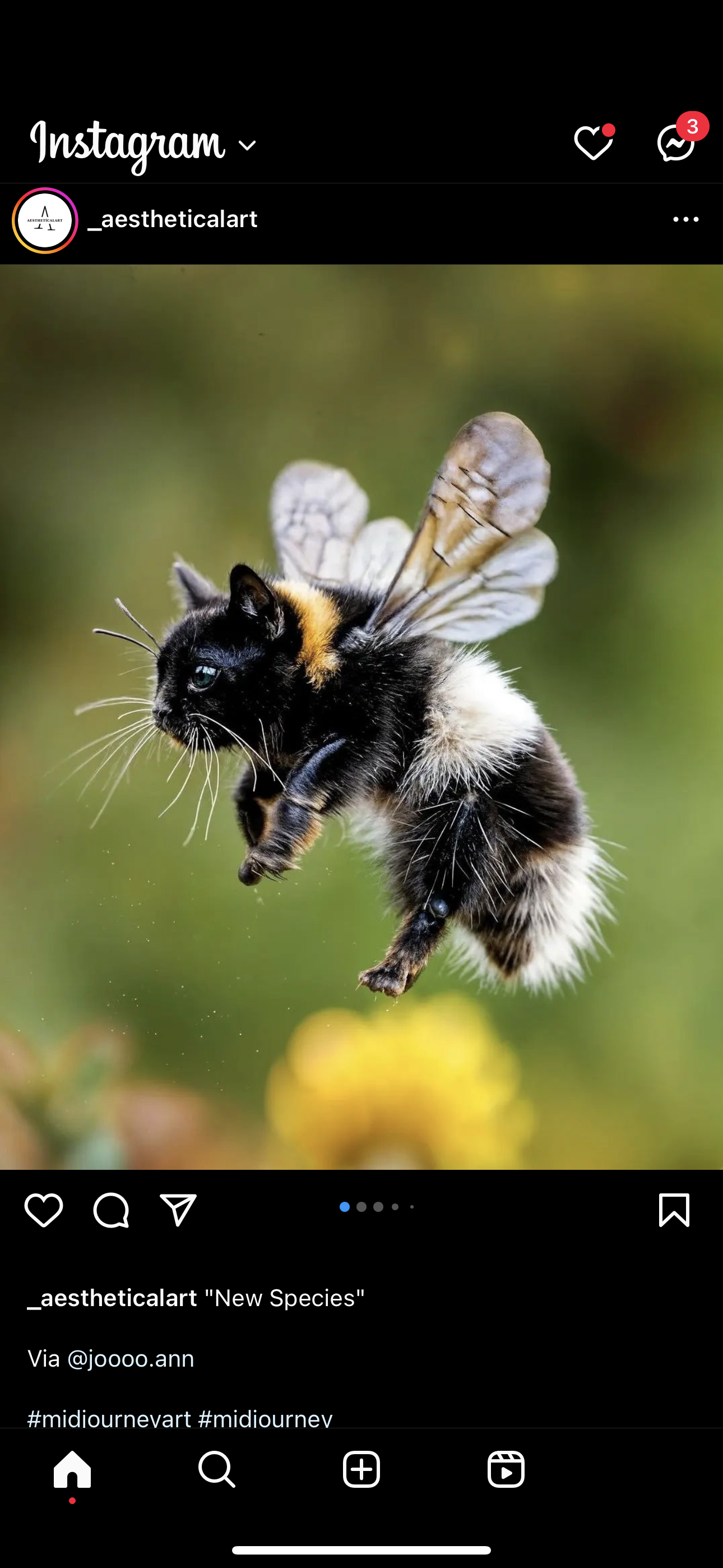 accession-202601-2024-06-IMG_2868