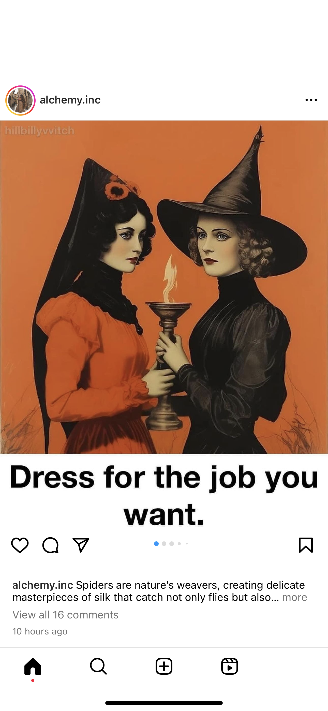 accession-202601-2024-07-IMG_3036