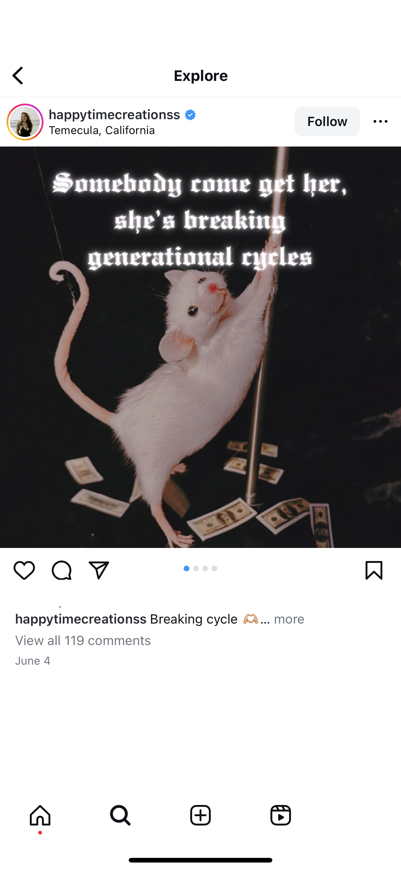 accession-202601-2024-07-IMG_3289