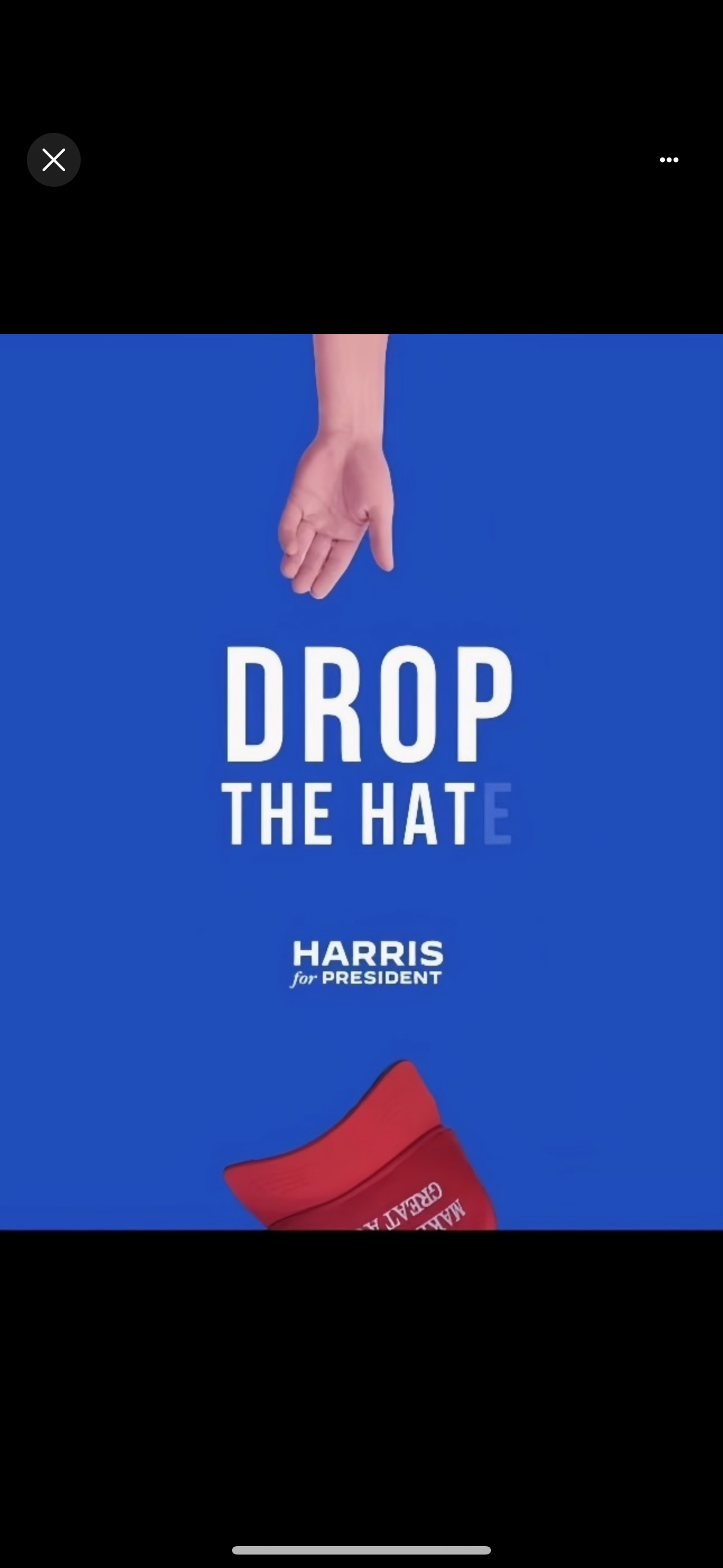 accession-202601-2024-08-IMG_3877