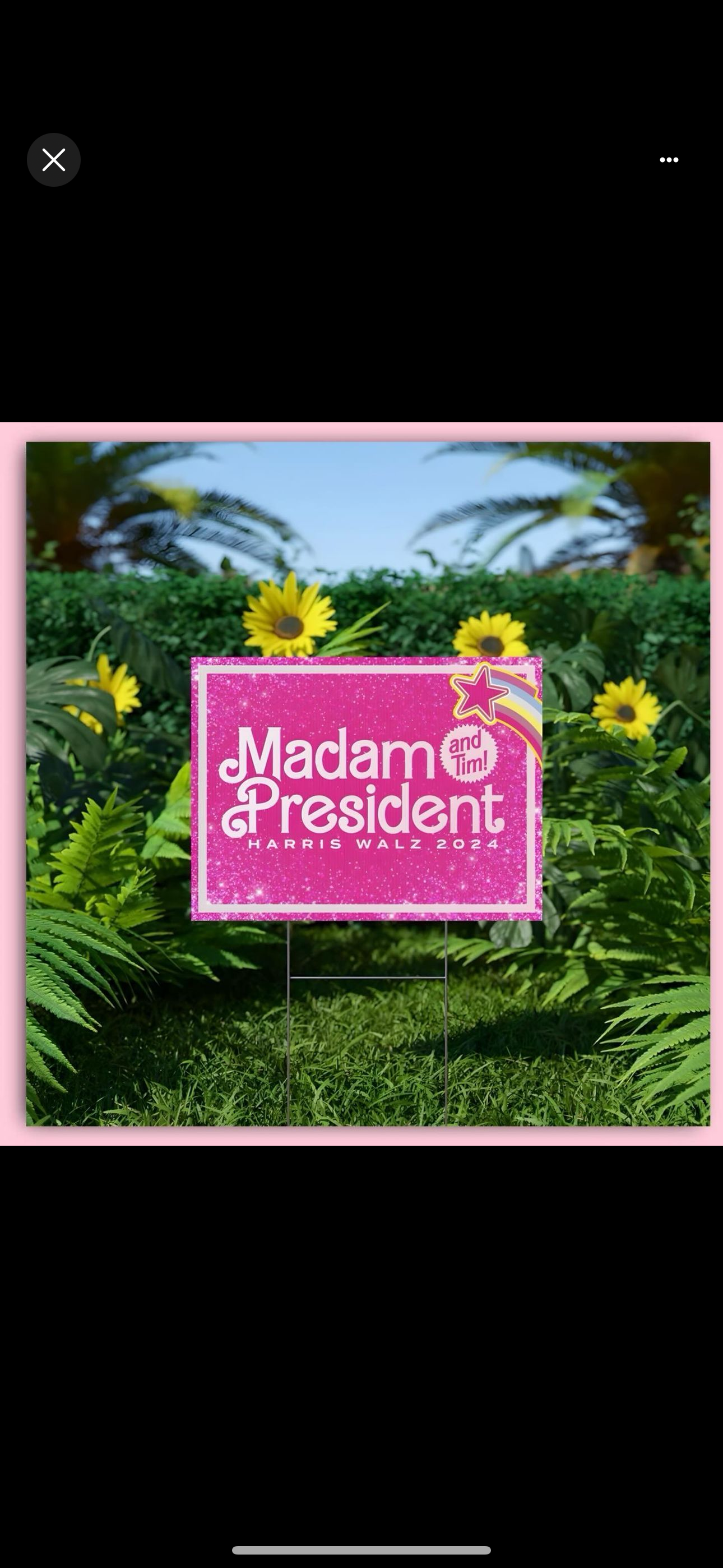 accession-202601-2024-08-IMG_5063