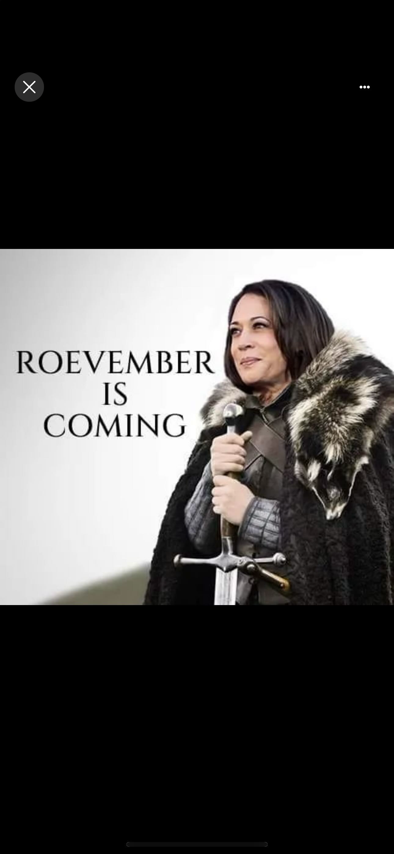 accession-202601-2024-08-IMG_5106