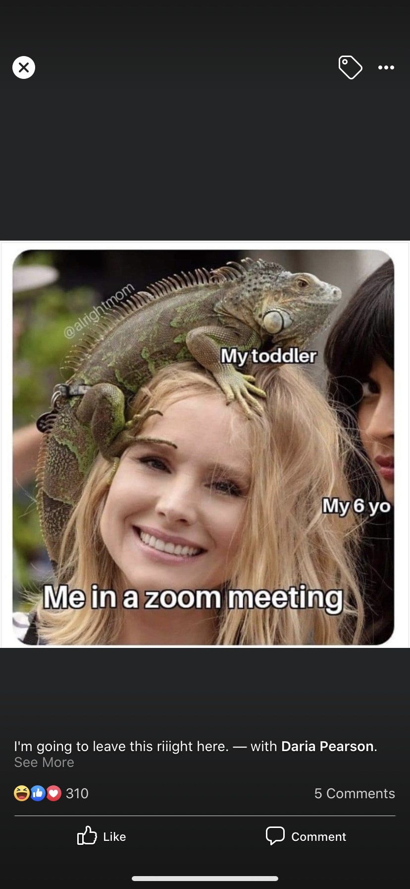 accession-202601-Google-Drive-Meme-Images-Copy_of_IMG_4131