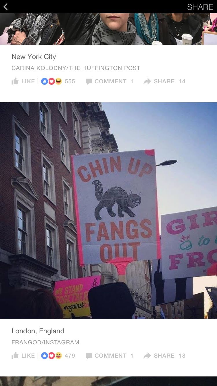 accession-202601-Google-Drive-Meme-Images-IMG_3634