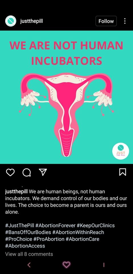 2021-Instagram_June 2022_ RoevWade_Not human incubators