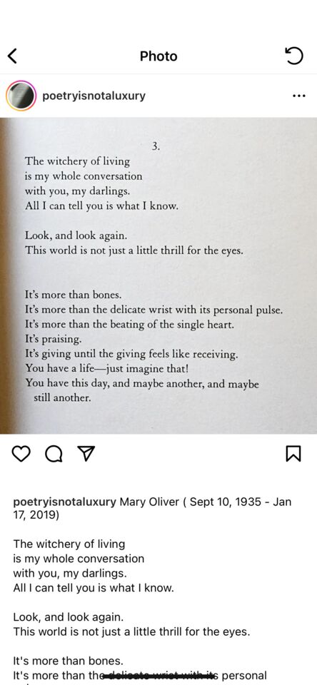 poetry repost