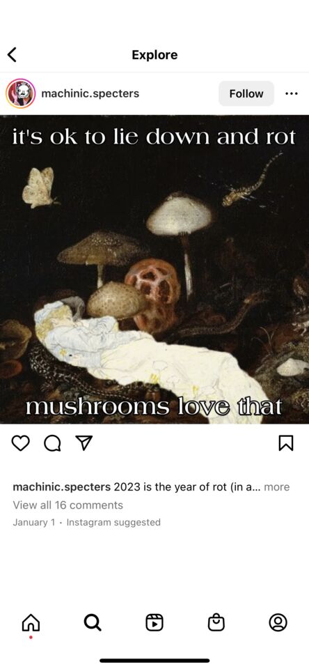 painting of mushrooms; image macro