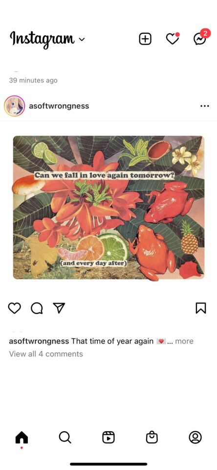 art collage of flowers in garden