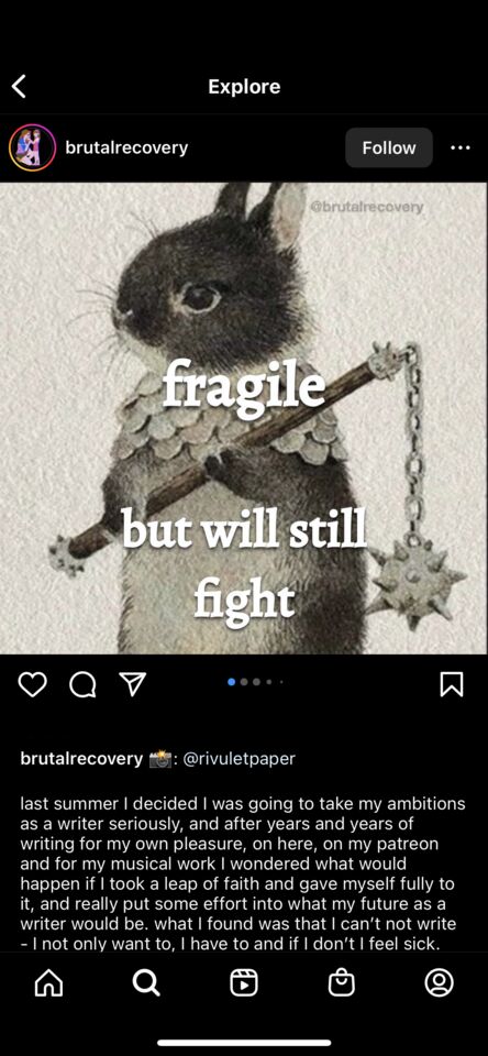 meme; art; resistance