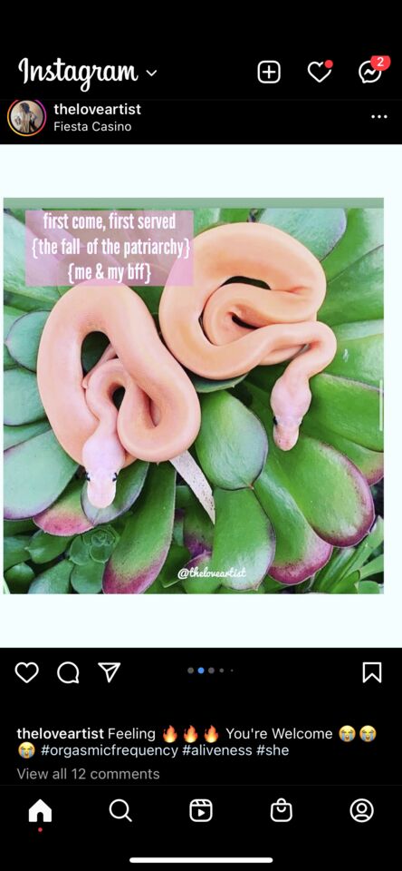 meme of snakes on foliage; fall of patriarchy