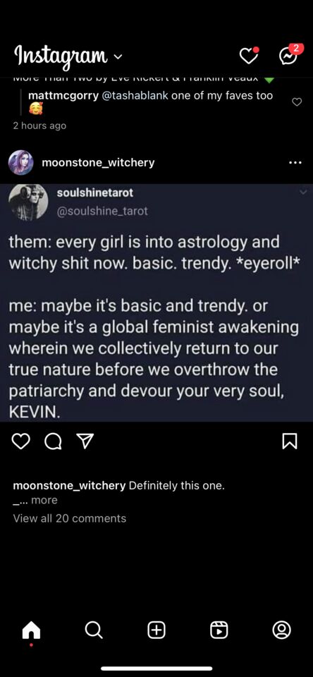 cartoon; image macro meme; resistance; femininity