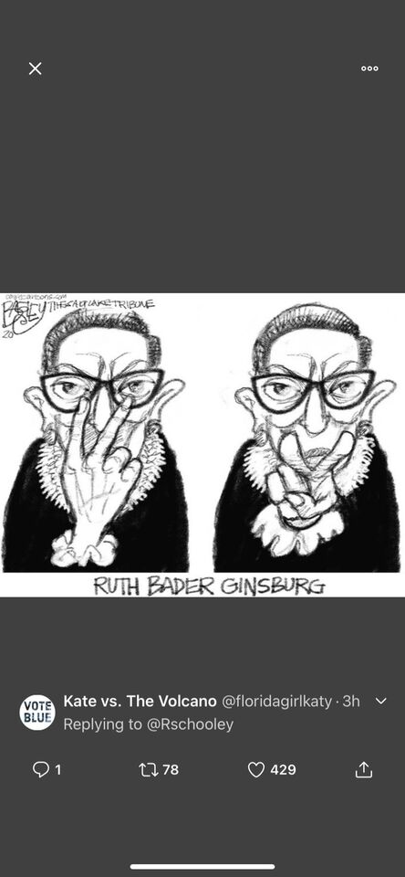 RBG meme/ political cartoon after she died