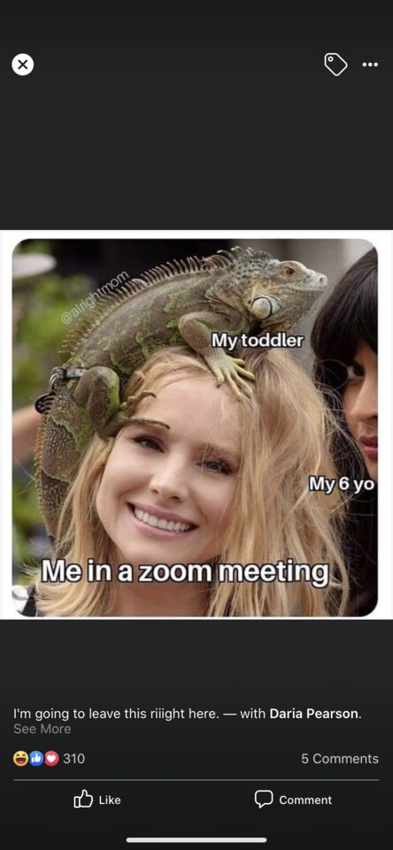 a close up of a person with a lizard on their head