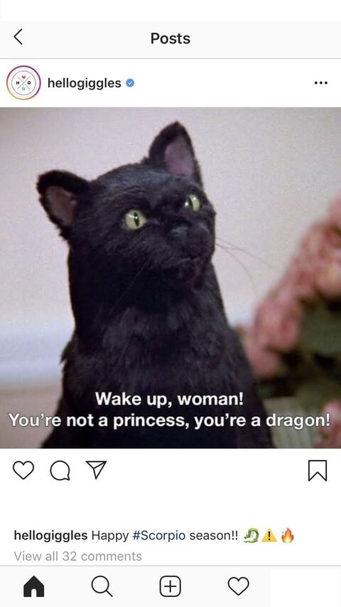 a close up of a black cat with a caption of a woman