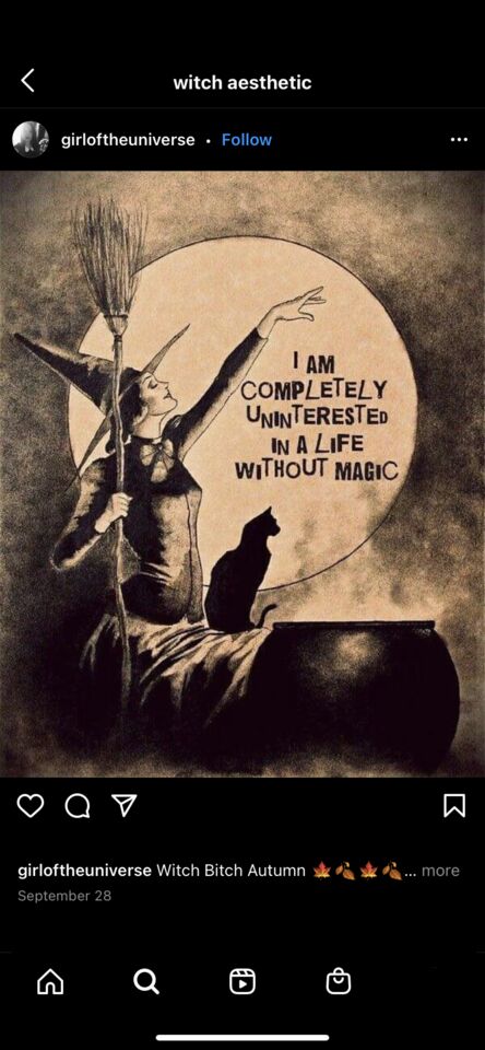 witch with cat and full moon with caption from the book